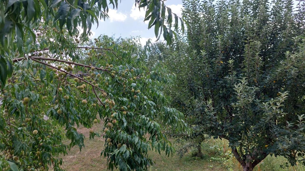 דירות Generalski Stol Kuca Za Odmor ,Erdelj 21 B מראה חיצוני תמונה